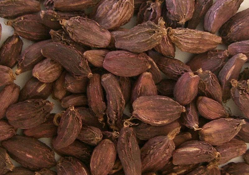 नगदको जमाना गयो ! गोल्डकप विजेतालाई अलैँची पुरस्कार